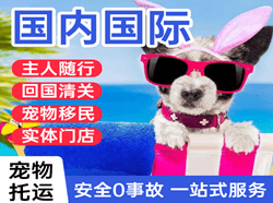 黄山屯溪国际宠物托运 【国